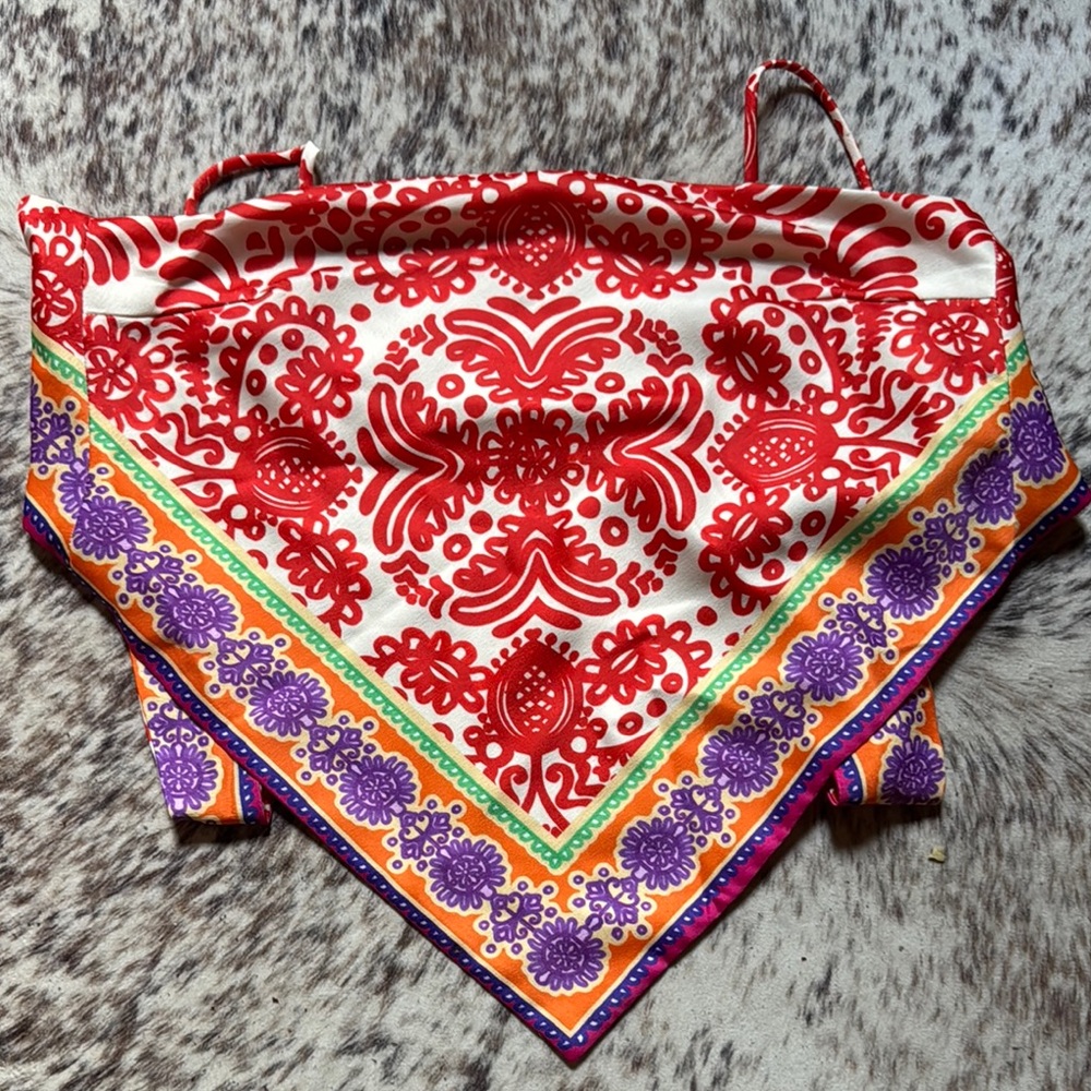 Zara Red and Purple Patterned Crop Top